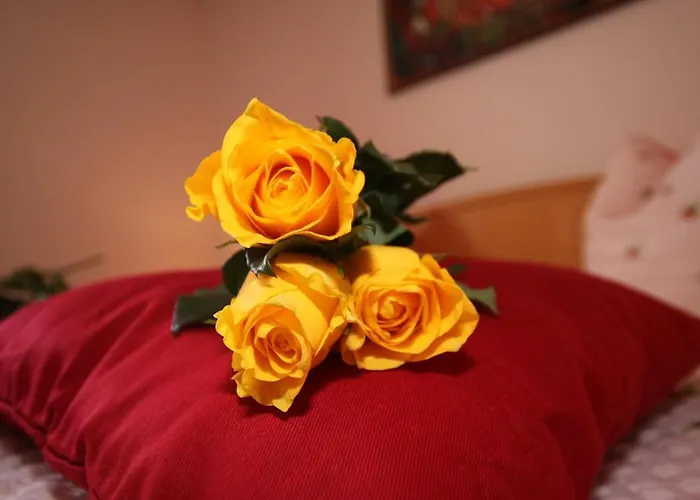 公寓 阿尔特大街公寓 *